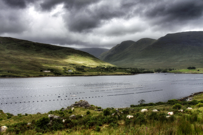 Connemara